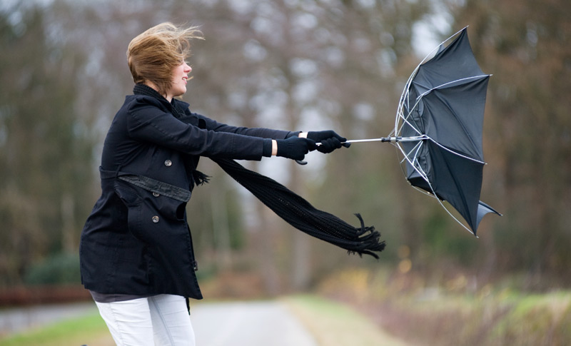 Insurers declare catastrophe for NSW storms