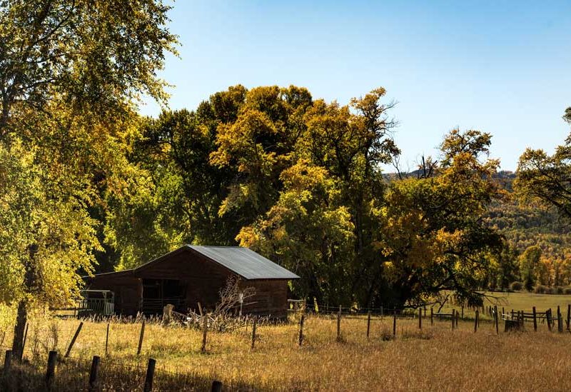 Land and Environment Court Approves First Collective Sale